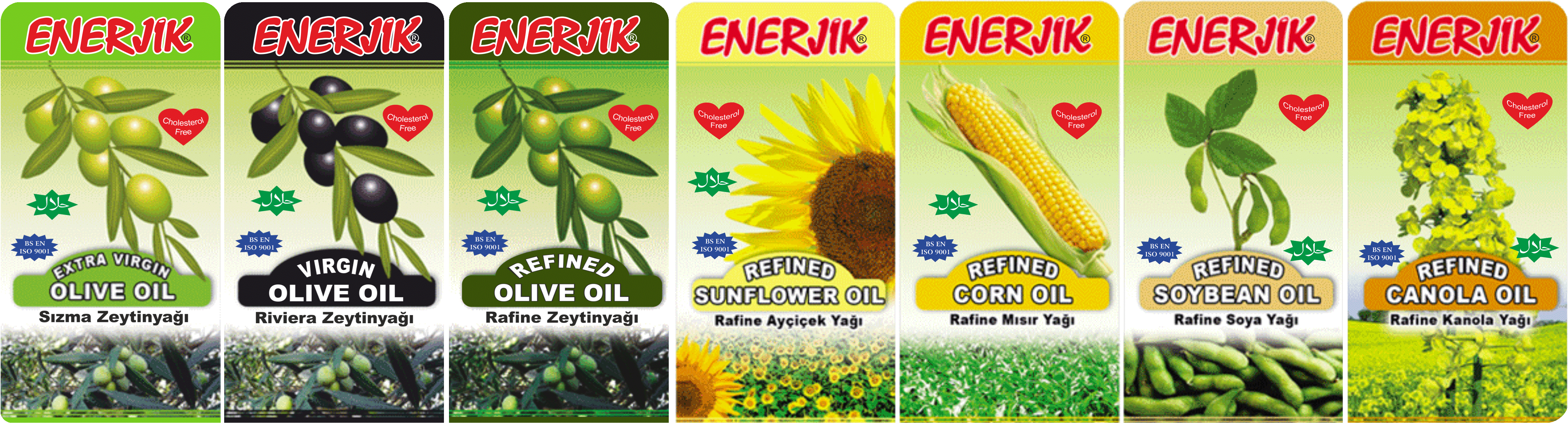 Enerjik Edible Oils